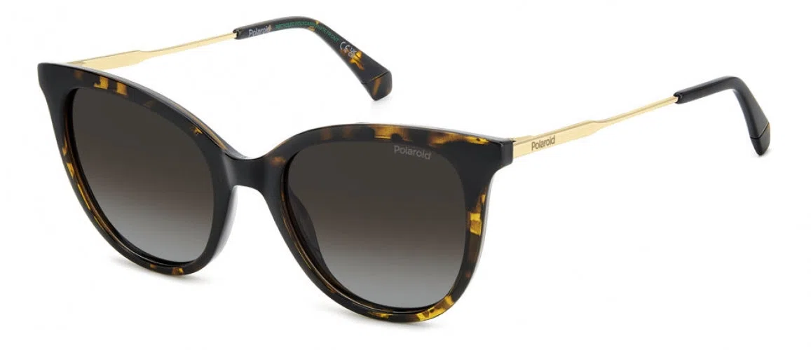 Polaroid Core PLD4184 Sunglasses - view 7